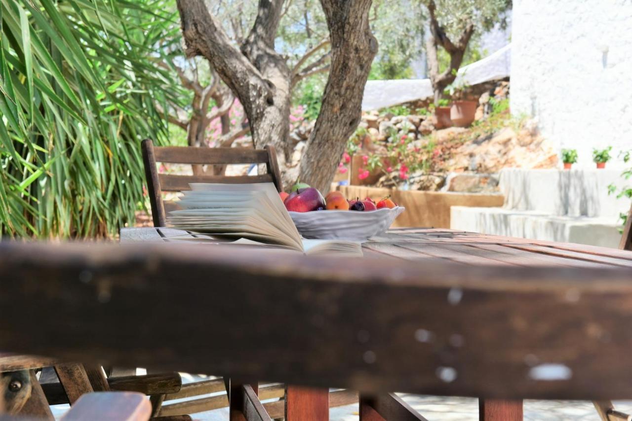 Loukia'S Apartments Đảo Hydra Ngoại thất bức ảnh